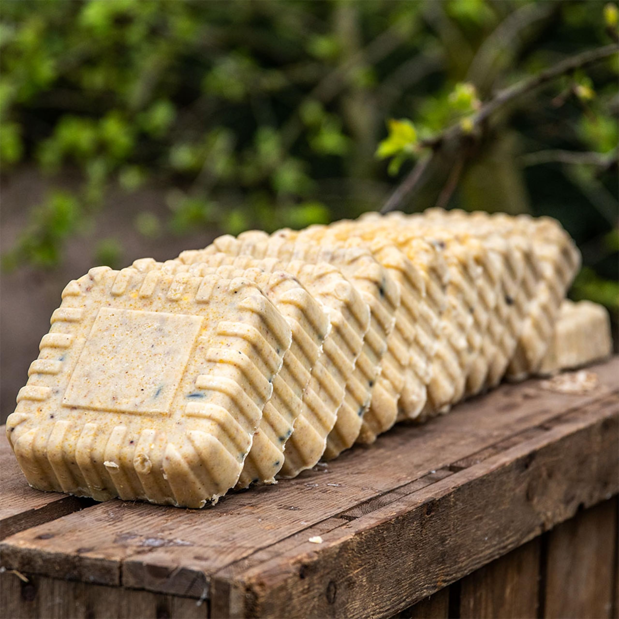 CJ Wildlife 12x Fettblock für Wildvögel – Variationspaket mit 12 Energieblöcken á 300 Gramm in 3 Sorten – Fettfutter für Gartenvögel