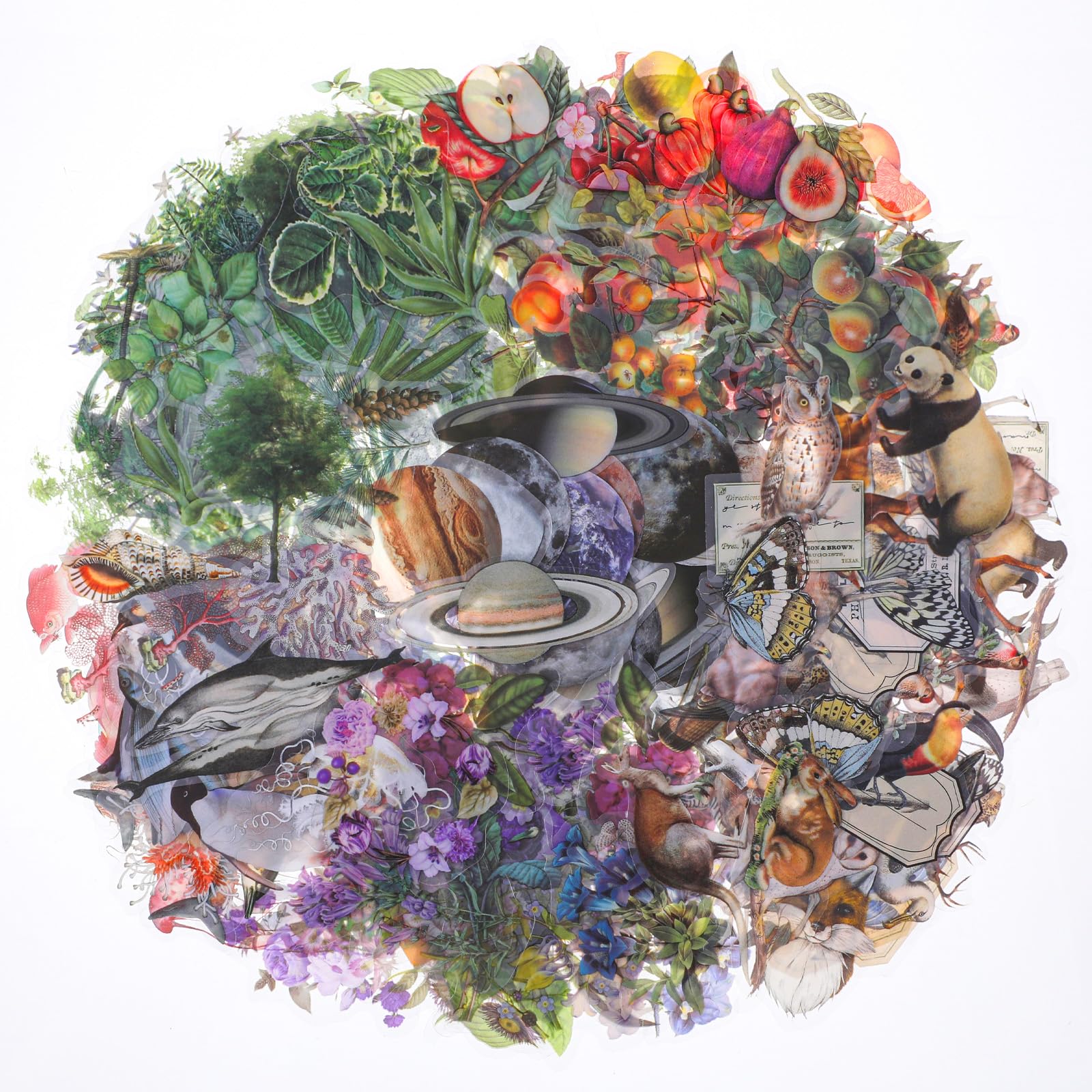 240Pcs Nature Themed Transparent Pre-Cut Stickers Waterproof Book for Scrapbooking Flora and Fauna Vintage Aesthetic Decorative Decal for Journaling Adult Photo Album Collage Card Making Craft