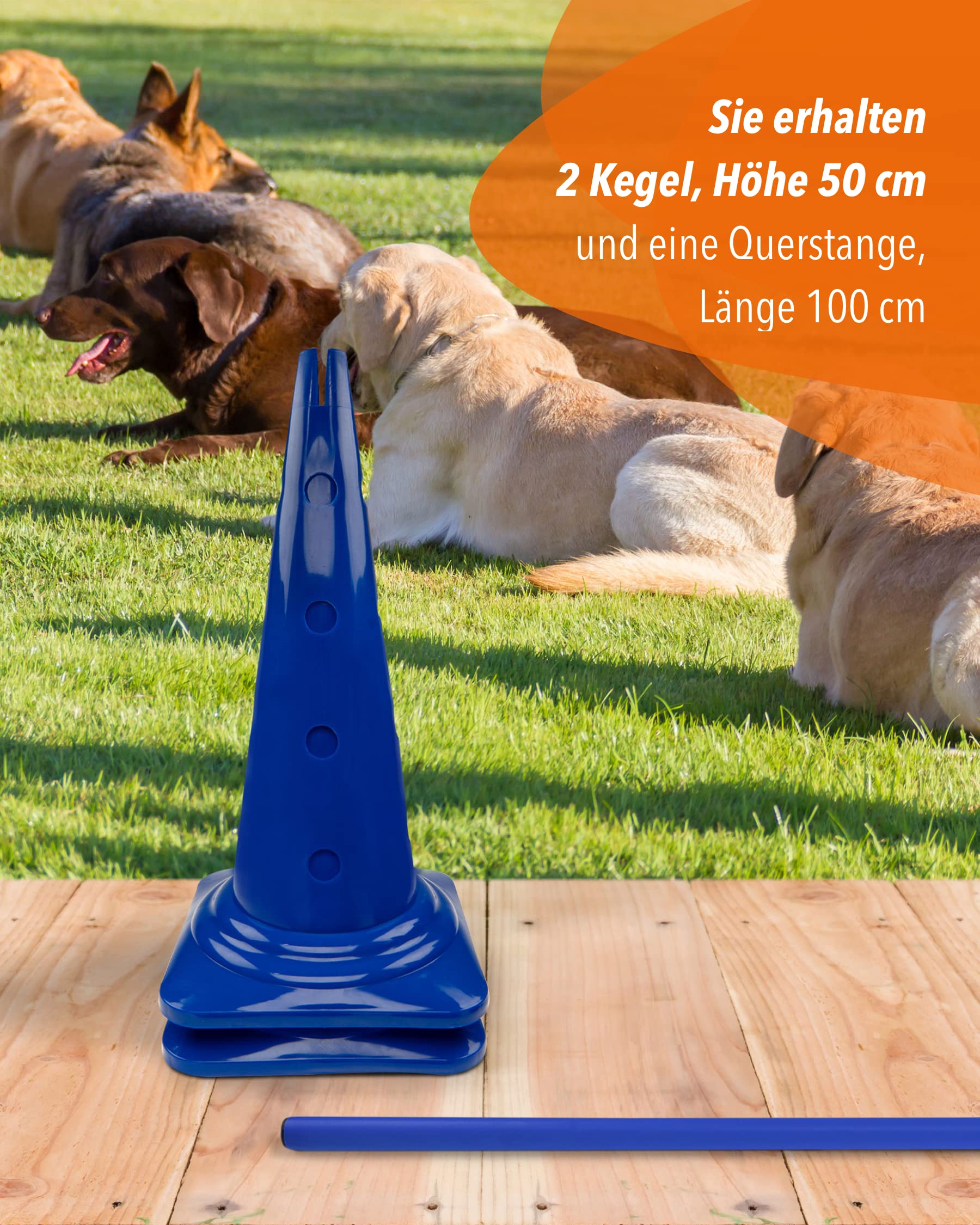 Kombi Kegel-Hürde – Steckhürde für Agility Training – Sprung- & Slalom-Hütchen für Hund, Sport, Pferd & Kind – 50 cm