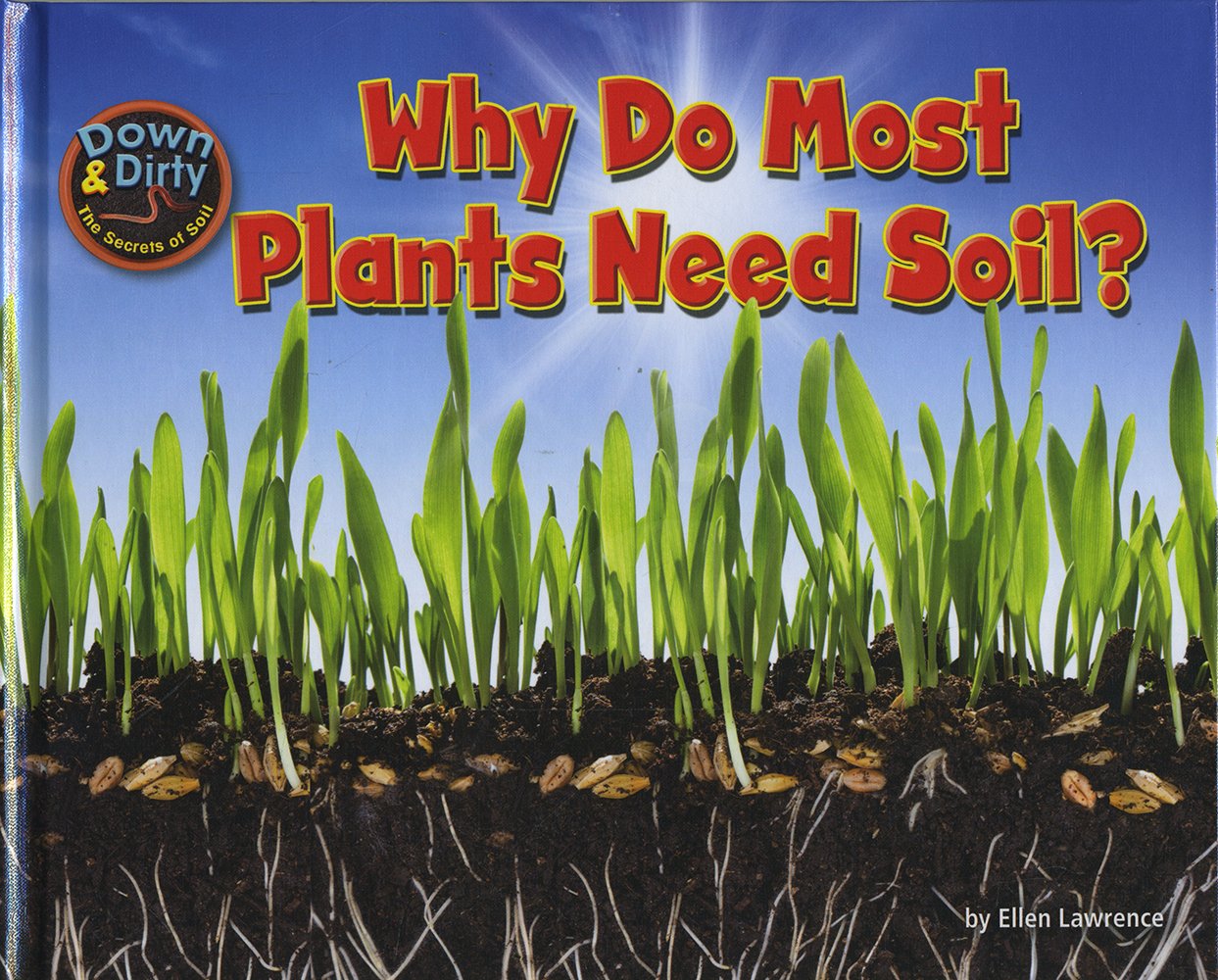 Why Do Most Plants Need Soil? (Down & Dirty The Secrets of Soil