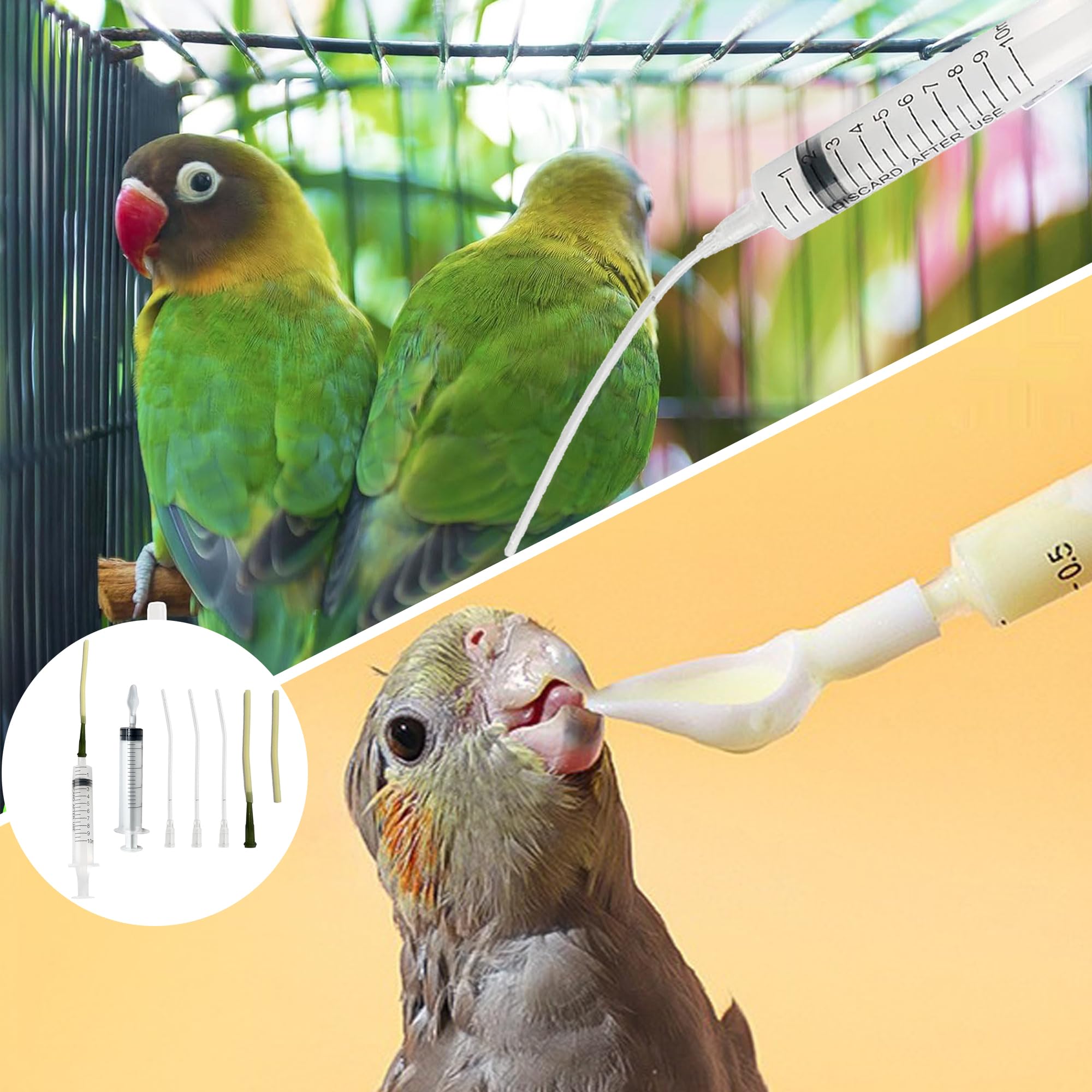 Uccelli Che nutrono siringa Tubo di Alimentazione per Uccelli Giovani siringa da 10 ml Alimentatore Pappagalli Accessori per piccioni siringa con Tubi e cucchiai per Bambino Pet Uccelli (B)