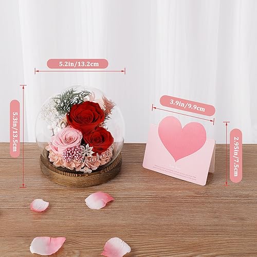 Miniatura 5 de Rosa natural para siempre, flor preservada en cúpula de cristal con luz LED, decoración romántica del hogar y regalo para mamá, esposa, regalo del