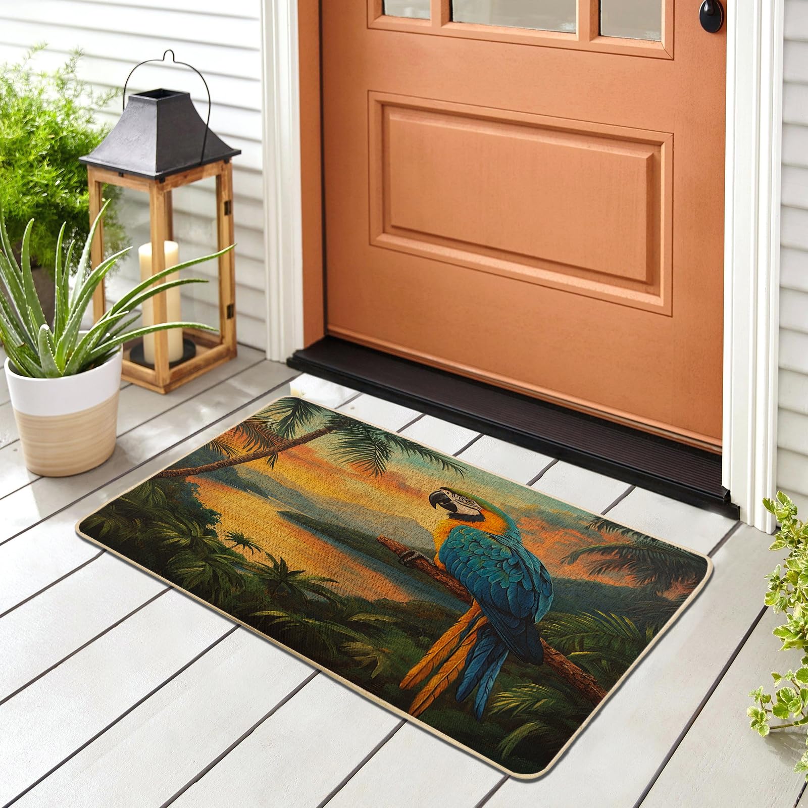 Paillasson noir lavable pour entrée propre motif perroquet