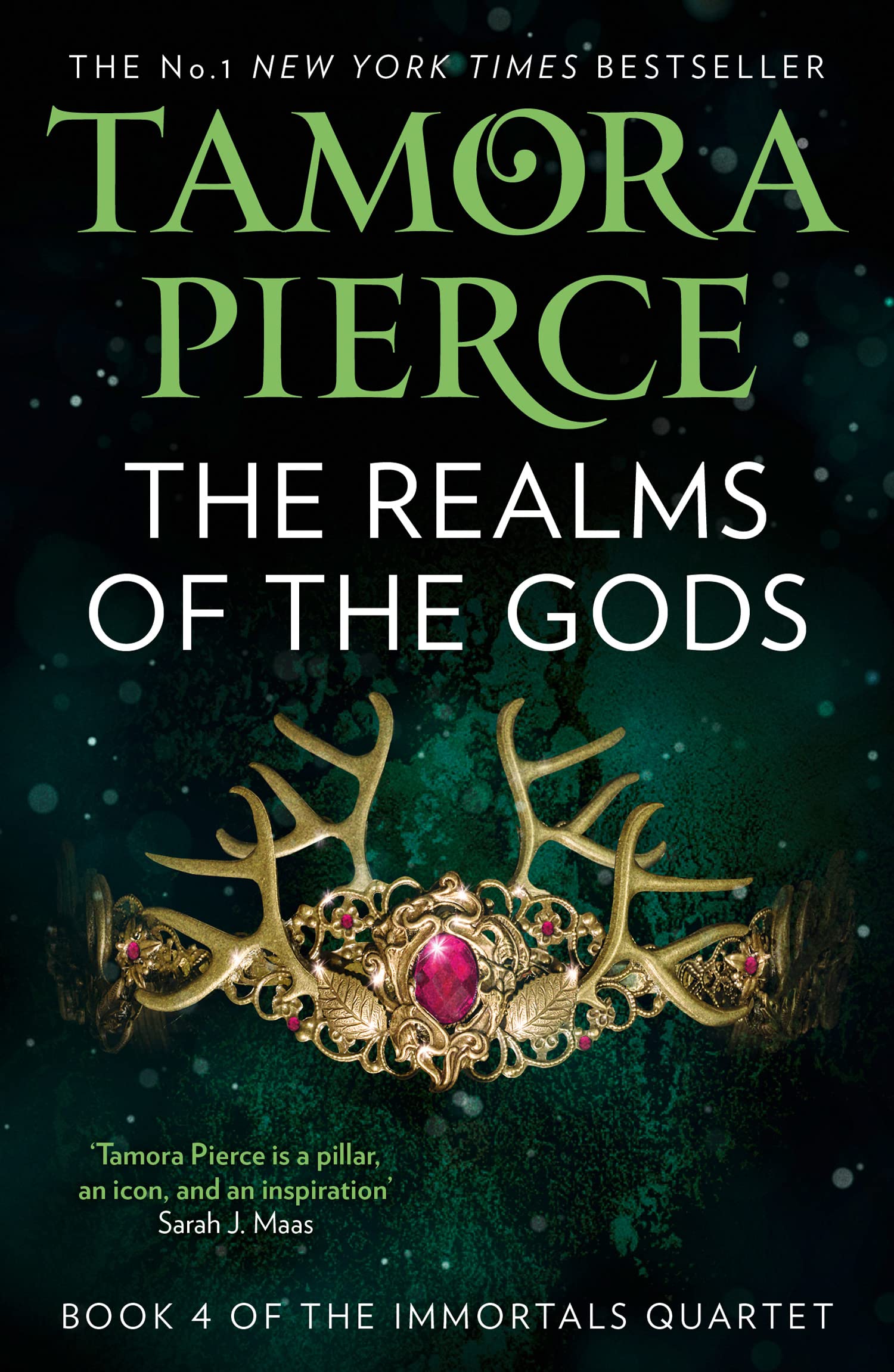 THE REALMS OF THE GODS: A gripping fantasy epic: Book 4 (The Immortals)