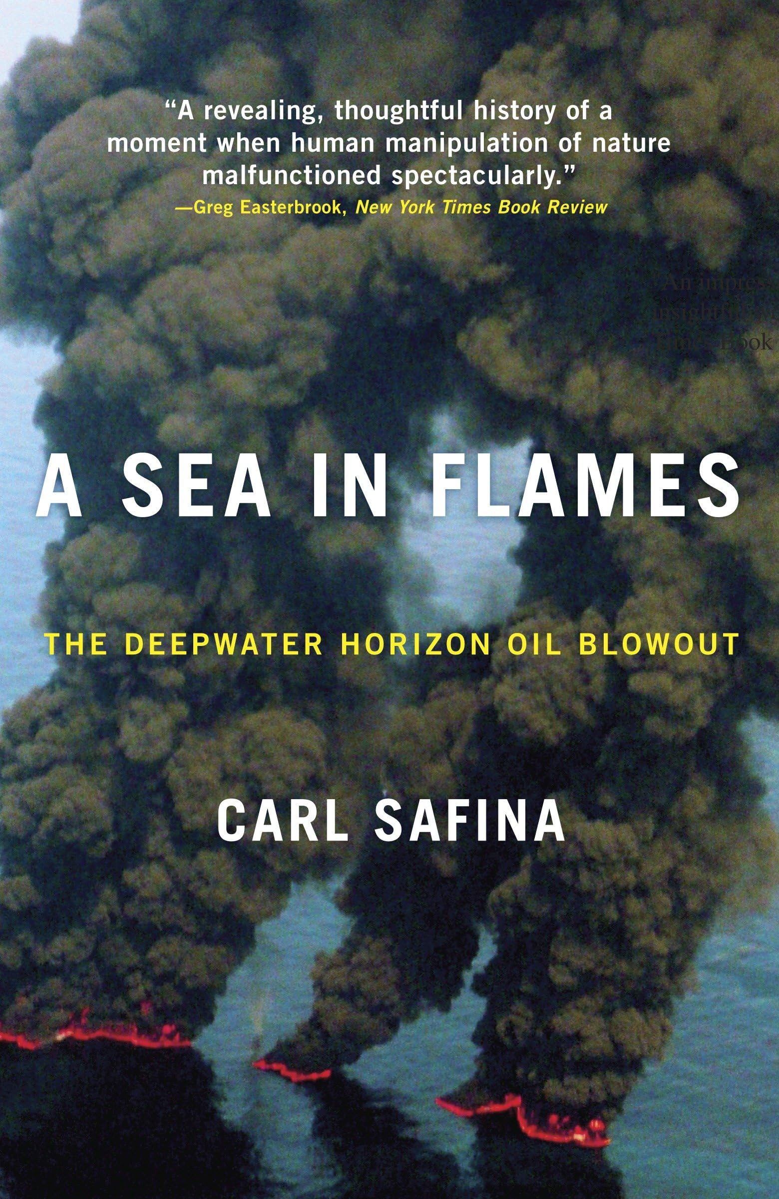 Carl Safina Unisex Multicolor A Sea In Flames: The Deepwater Horizon Oil Blowout Paperback Book