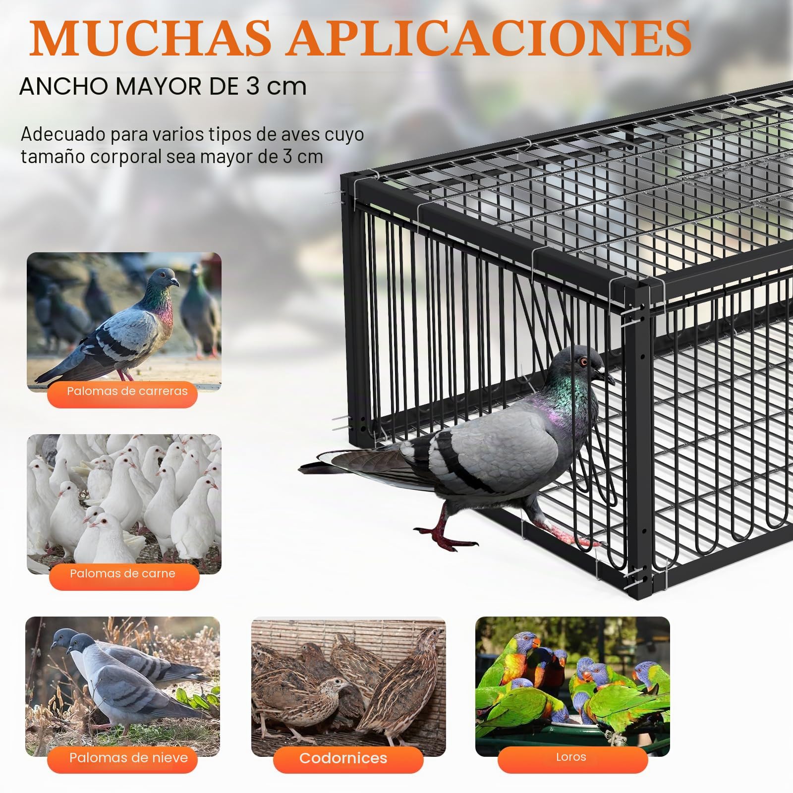 Jaula para palomas, 60 cm, para recoger codornices (negro)