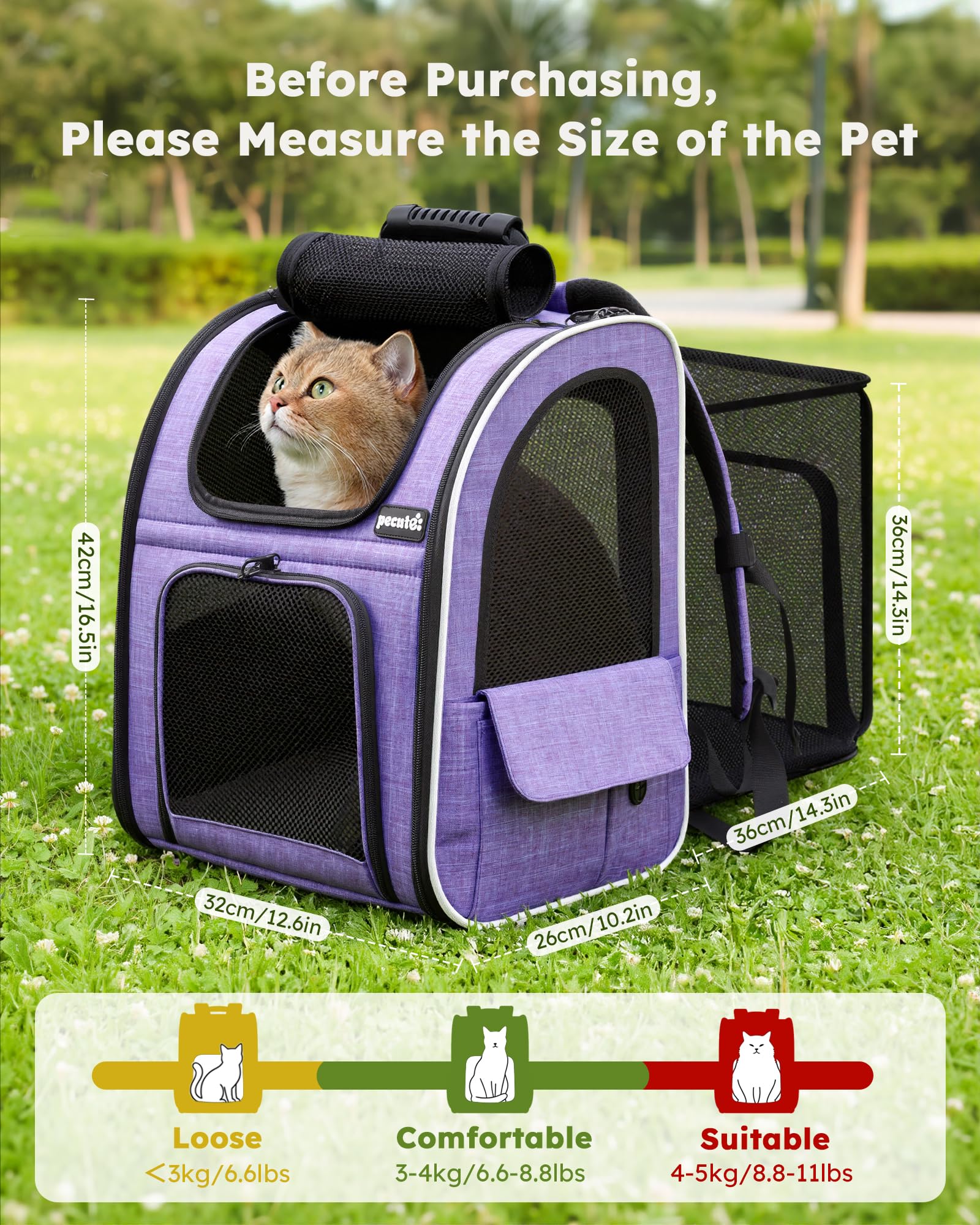 https://m.media-amazon.com/images/I/81Ft+ZbTlSL.jpg