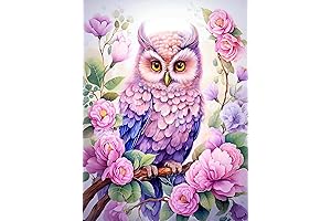 Benjenes 5D Diamond Art Kits, Diamond Art Kits for Adults Owl