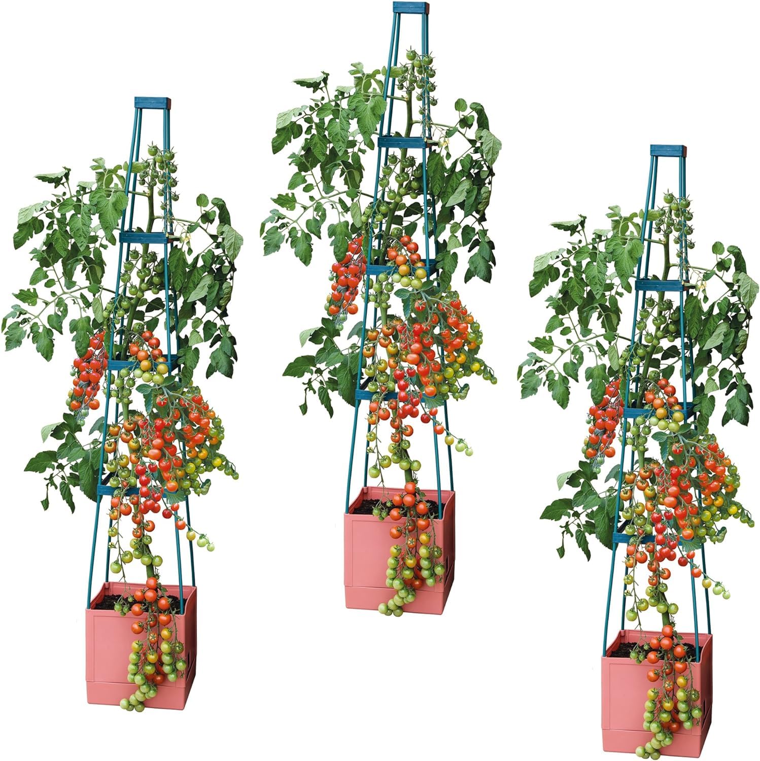 Garden Grow Tomato Tower Self Watering 4 Tier Jumbo Fruit & Vegetable Vine Plant, Support Grower, Decorative Multi Stage 1.5M Weatherproof Tower Garden Planter By ( X3)