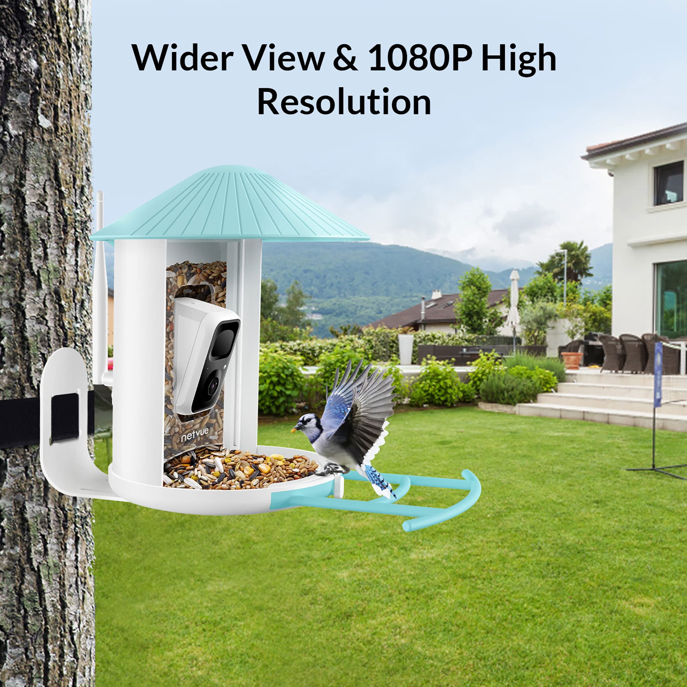 NETVUE Birdfy - Comedero Inteligente para Pájaros con Cámara y Panel Solar, Reconocimiento AI de Especies de Aves, Exterior con Potente Base de Datos de Aves