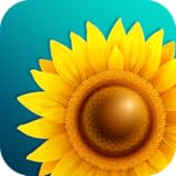 Gallery Lock for security Gallery 2020