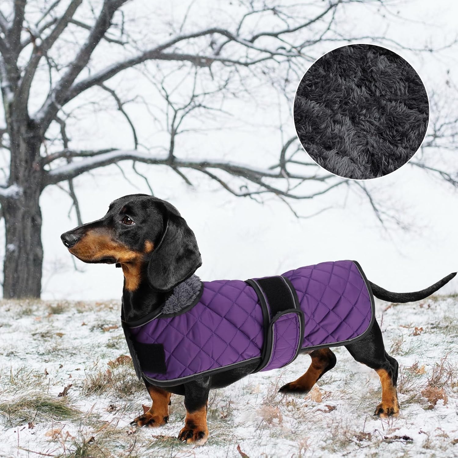 Warm Thermal Quilted Dachshund Coat,Dog Winter Coat with Warm Fleece Lining,Outdoor Dog Apparel with Adjustable Bands for Medium,Large Dog-Purple-M