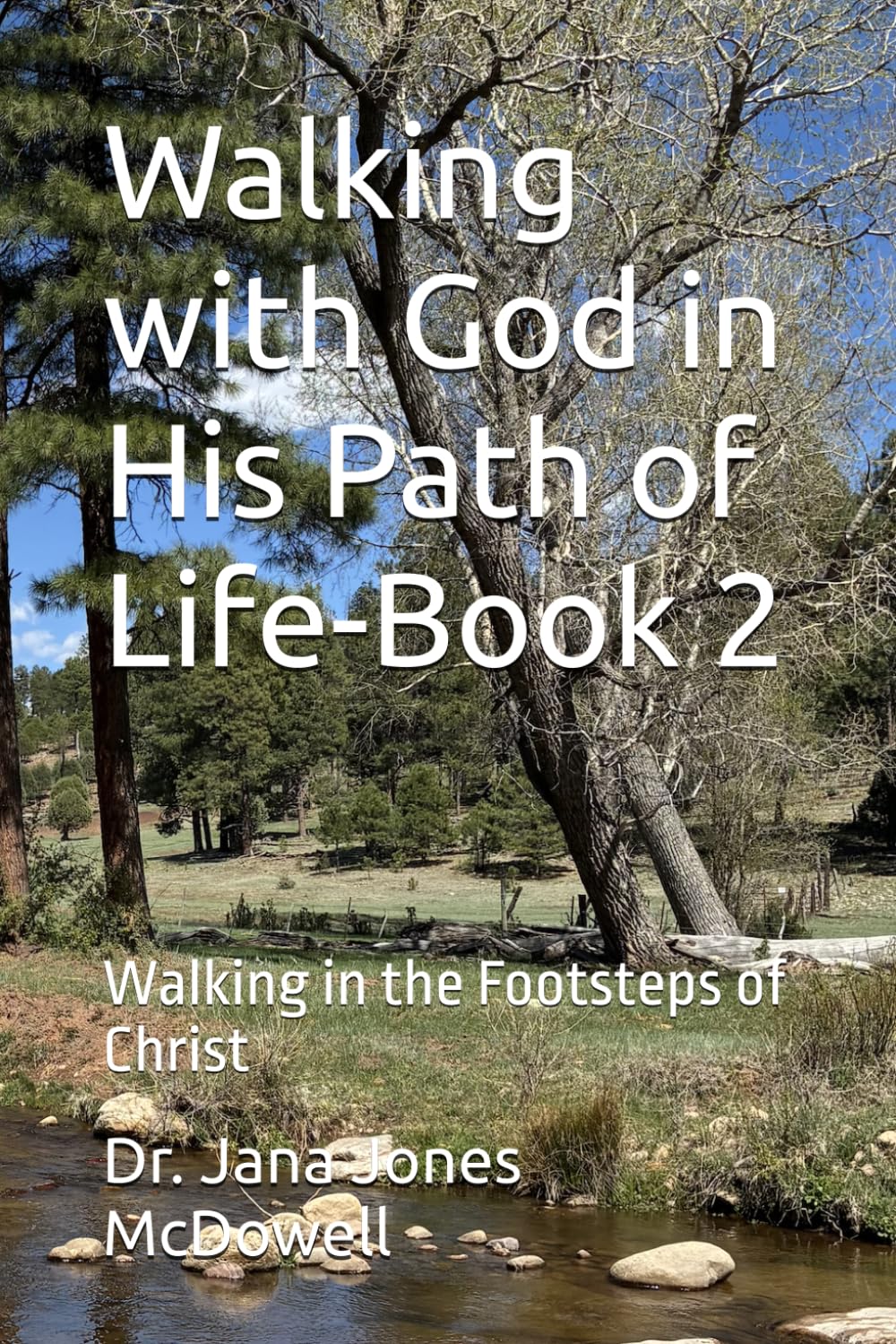 Walking with God in His Path of Life-Book 2: Walking in the Footsteps of Christ (Scriptural Synergy Series)