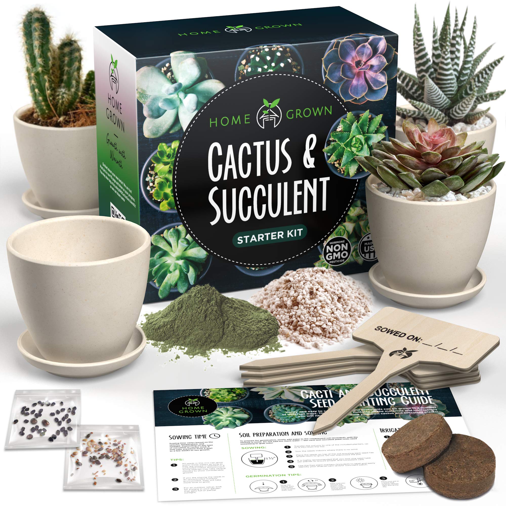 Succulent & Cactus Seed Kit