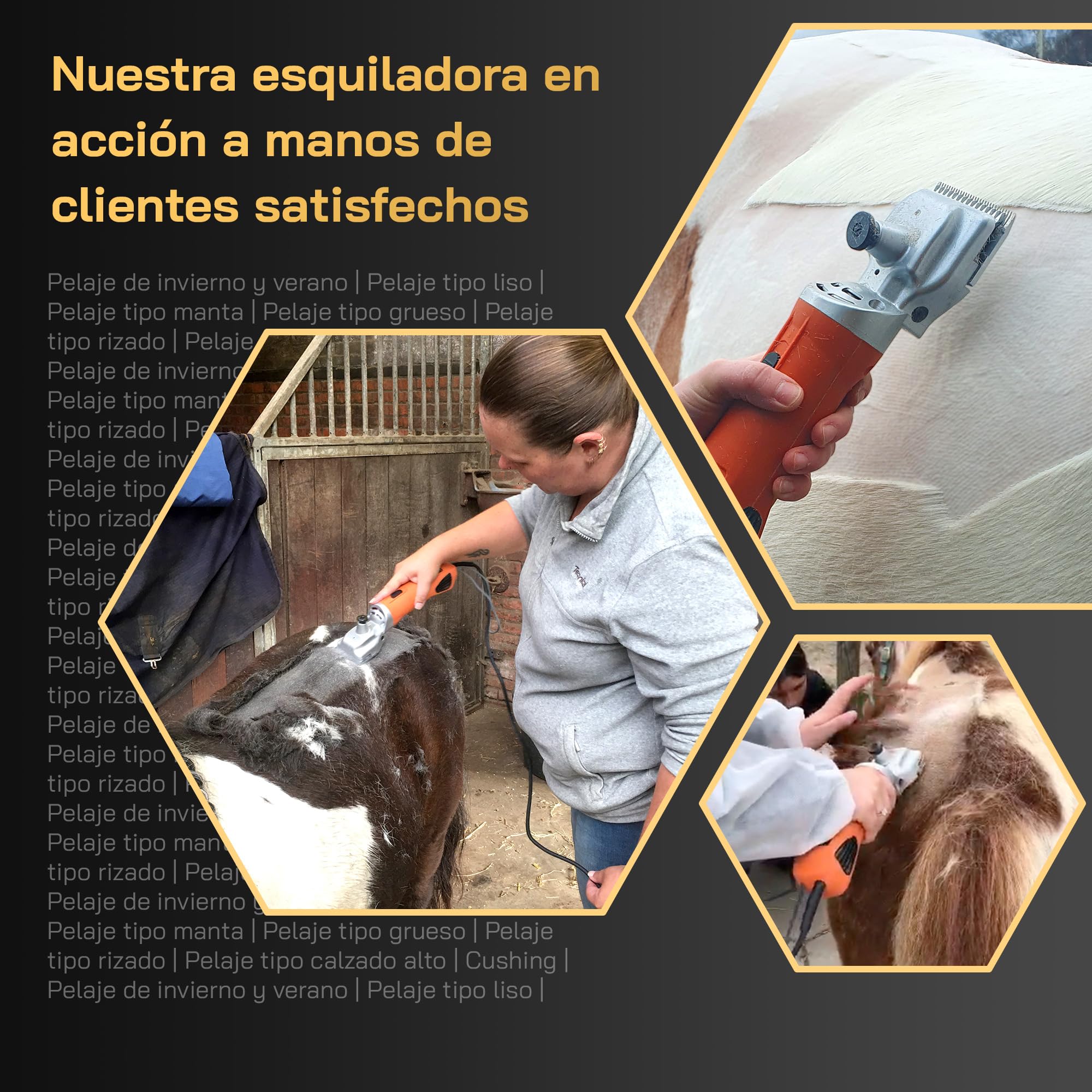 Esquiladora Caballos - Con cuchillas intercambiables – Silenciosa y de bajas vibraciones – Tranquilidad para el caballo – Adecuada para todo tipo de pelajes y partes del cuerpo