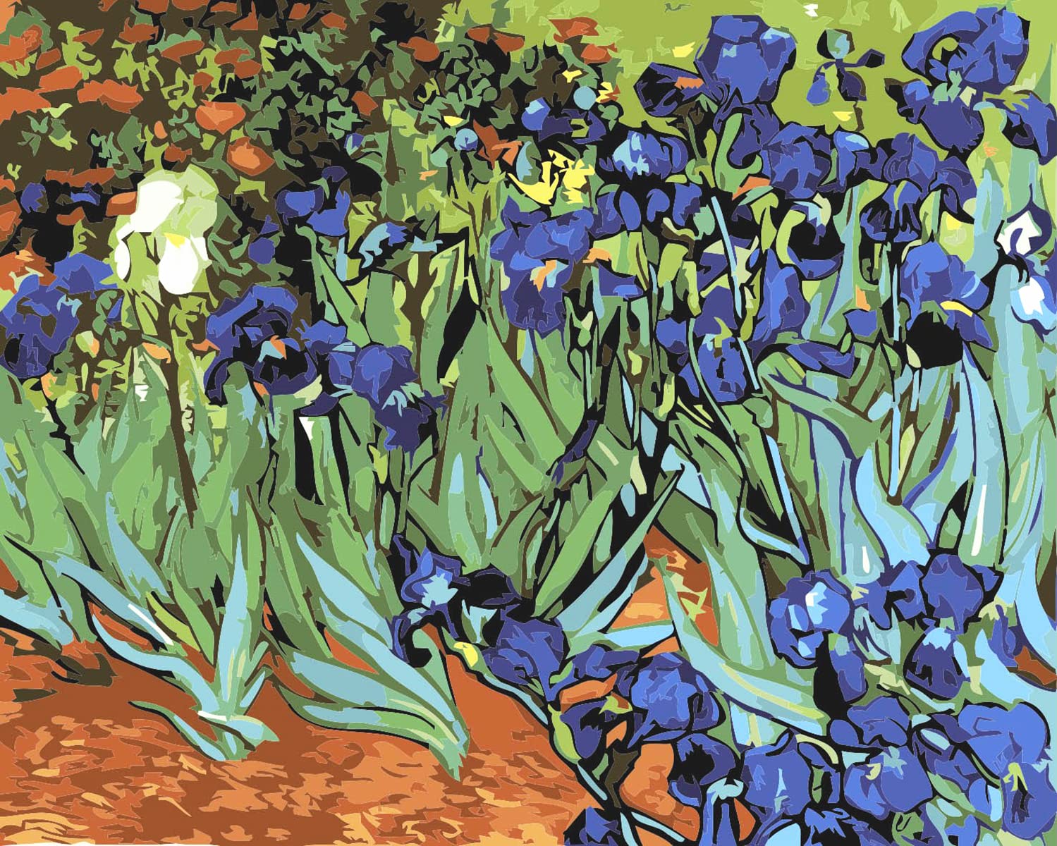 liziciti Paint by Number Kit On Canvas for Adults Beginner Van Gogh Famous Paintings DIY Acrylic Oil Painting Arts 16x20 Inch (Framed Canvas, Irises)
