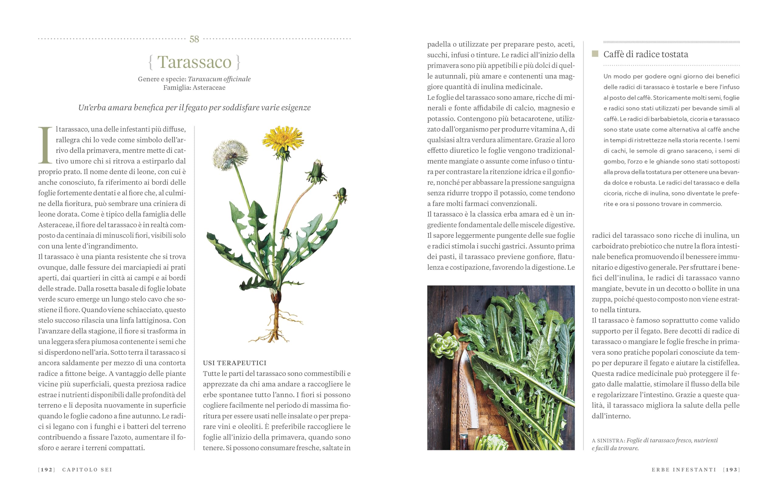 Erbario. Guida completa alle piante officinali e ai loro benefici