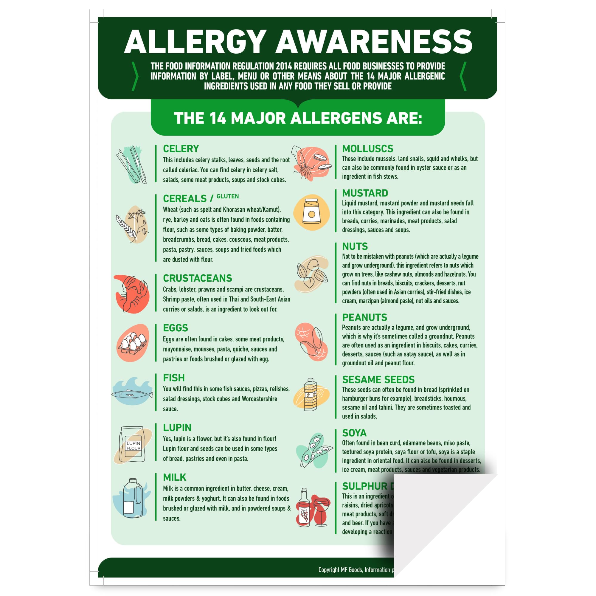 Food Allergy Awareness Sign Poster – A4 Laminated (297mm x 210mm) – 14 Major Allergens Display Chart List – Required Food Safety Notice for Cafes, Restaurants, Takeaways, Kitchens & Catering