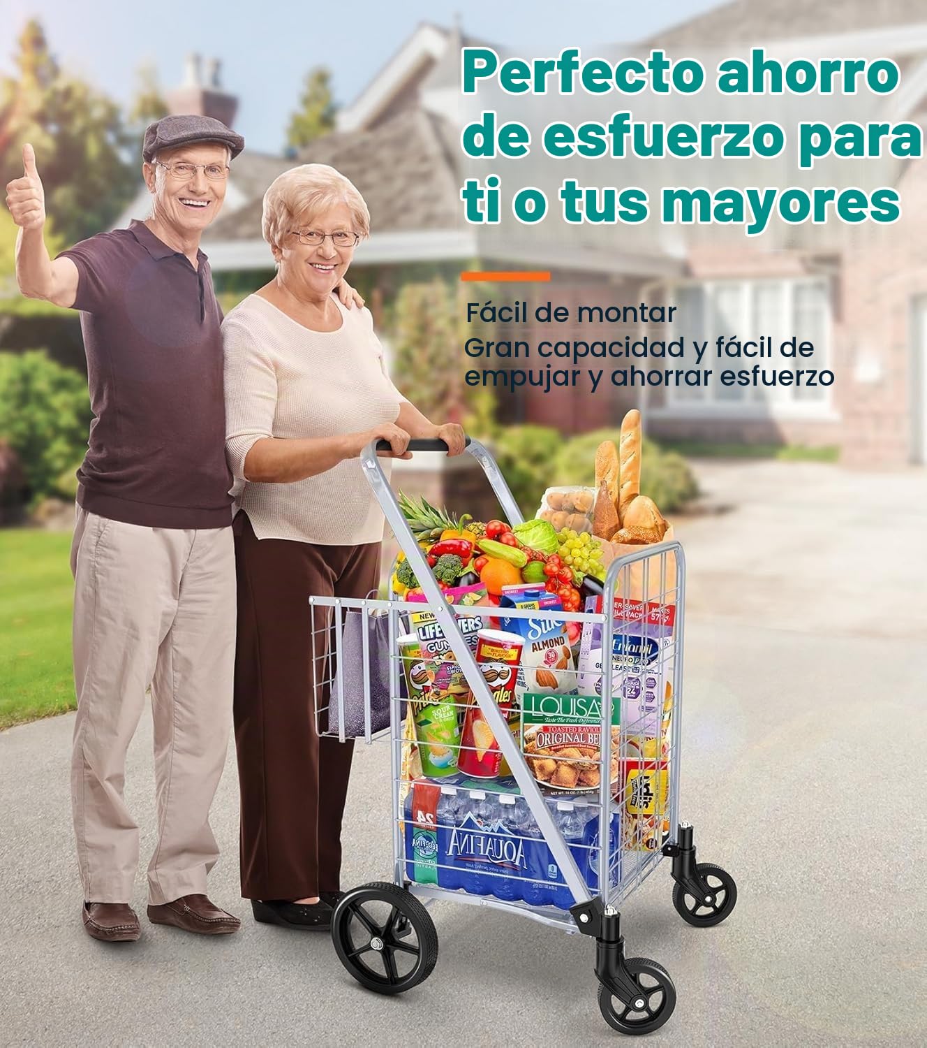 Carro de la Compra - Carro Compra Plegable Capacidad 150 kg 2 Ruedas Giratorias 360° y Doble Cesta Carro Plegable con Ruedas Portatodo para Familias & Supermercado