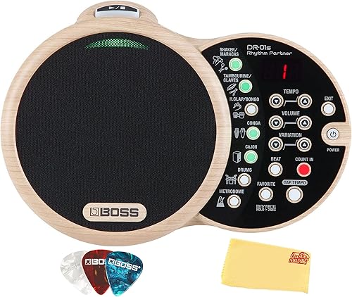 Boss DR-01S Rhythm Partner Bundle con púas y paño de pulido Austin Bazaar