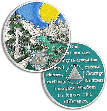 14 Year Sobriety Coin Fourteen Year AA Coin Alcoholics Anonymous Medallion Sun Chip AA Chips and Medallion Sobriety Gifts for Men Women Recovery Gift Anniversary Token Forest River Tree Coin