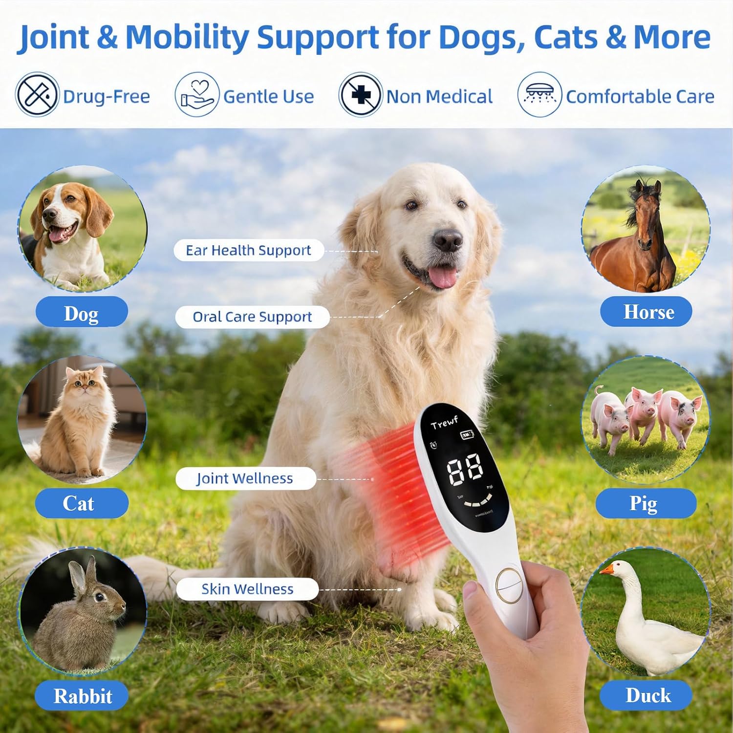 Portable Cold Laser Therapy Device, Handheld 3×808nm & 18×650nm Light image 5