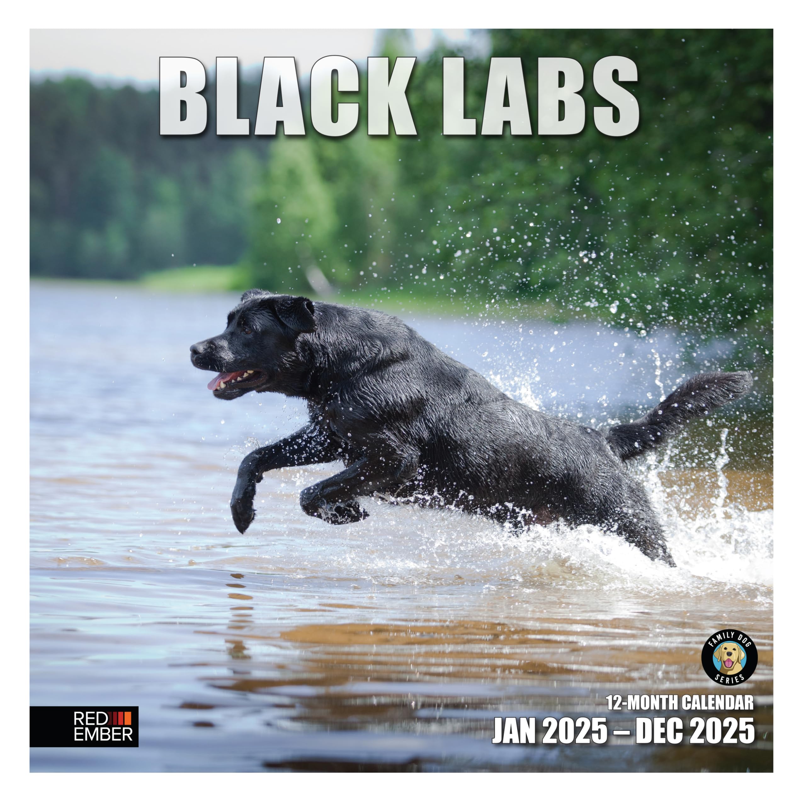 RED EMBER Black Labs 2025 Wall Calendar 12 Month | 12" x 24" Open | Thick &amp; Sturdy Paper | Giftable | Calendar 2025