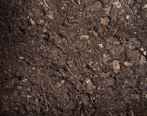 Molde de hoja de roble natural de 2 galones para plantas amantes del ácido, cactus y suculentas, mezcla de suelo de árbol bonsái, aditivo orgánico