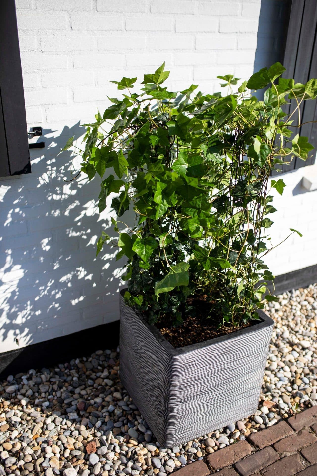 Capi Europe - Topf quadratisch Rib NL - 40x40 - Anthrazit - Blumentopf für den Innen- und Außeneinsatz - Übertopf - Pflanztopf - Pflanzgefäß - Kunststoff - KOFZ903