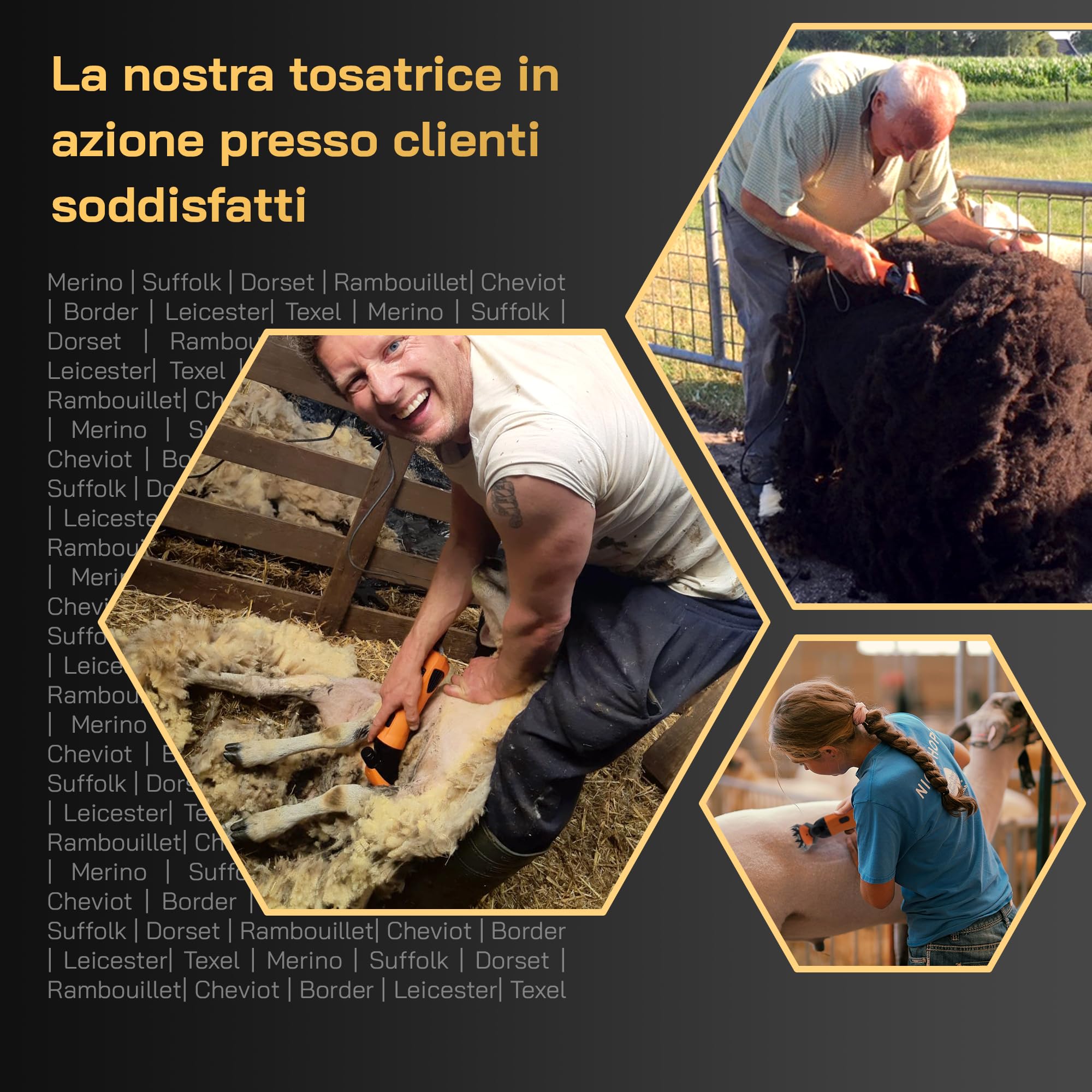 Tosatrice elettrica per pecore Set completo lame intercambiabili motore potente silenziosa