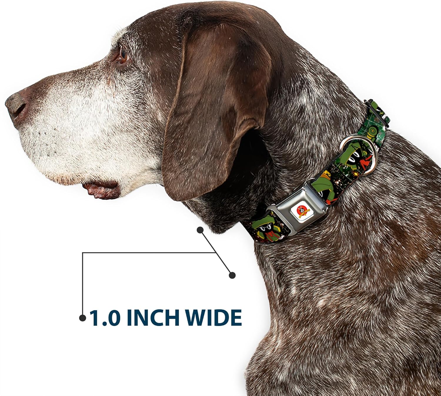 Dog Collar Seatbelt Buckle Marvin The Martian 4 Poses Galaxy 15 to 26 Inches 1.0 Inch Wide