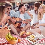 Snackle Box Container with Lid & Handle, Airtight Divided Snack Organizer, Portable Charcuterie Board for Travel, Road Trips, Picnic, Fruits, Veggies, Candy & Nuts