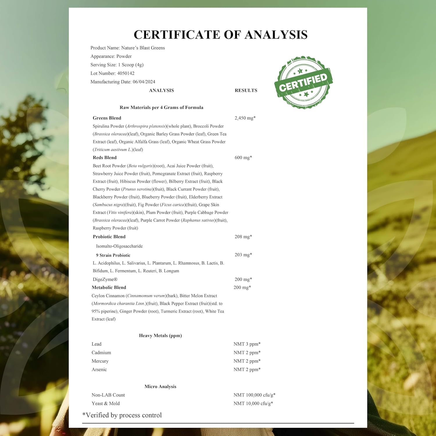 Greens Superfood Powder - 46 Superfoods, Probiotics & Enzymes for Gut Health, Metabolism & Energy - Vegan Green Powder Blend, 1 Bottle - 30 Servings - Image 9