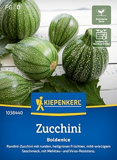 Kiepenkerl Zucchinisamen "Boldenice" 1038440, Gemüsesaat | Hellgrüne, robust Geg