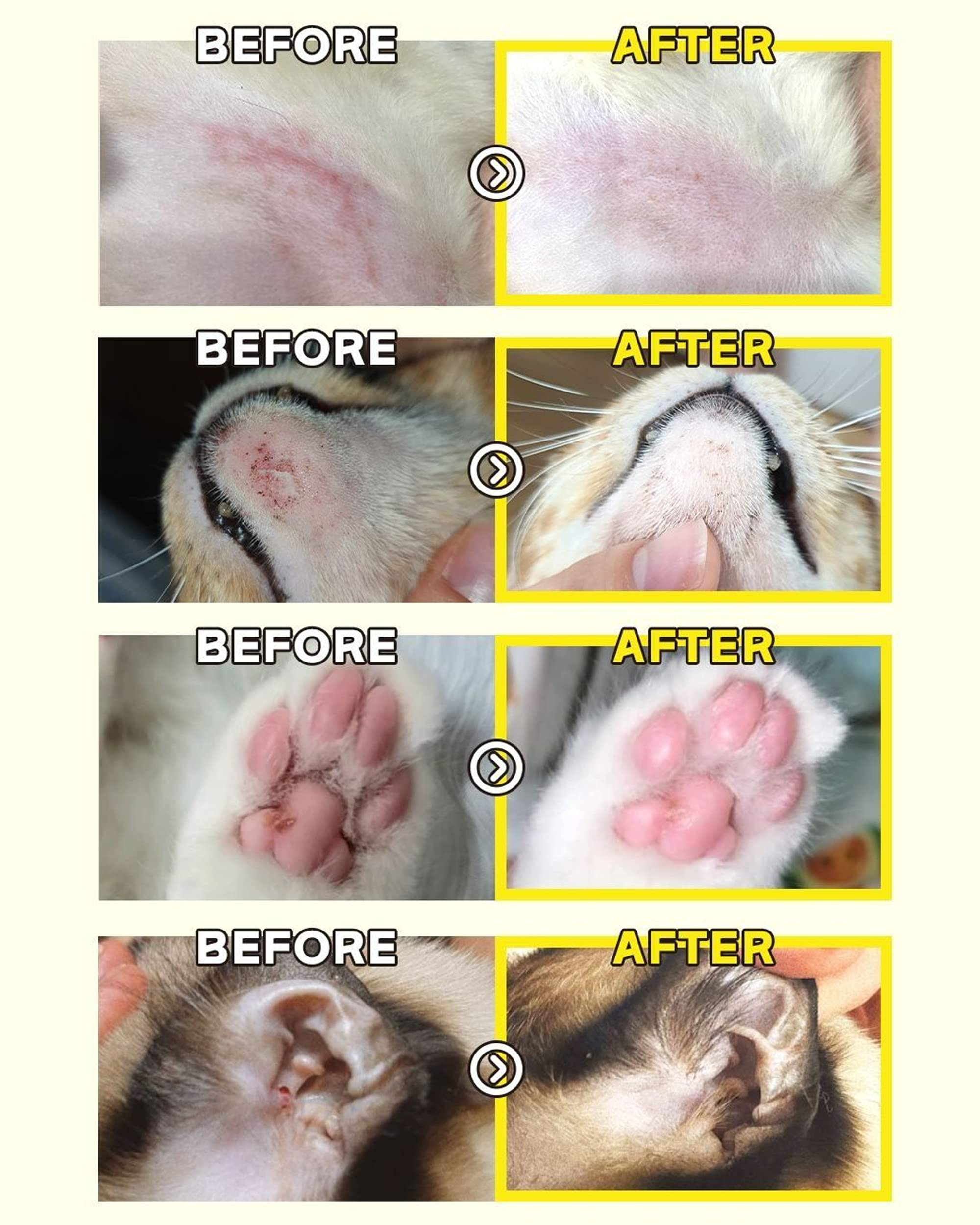 サリーの肉球様用！ サリーの肉球様用！