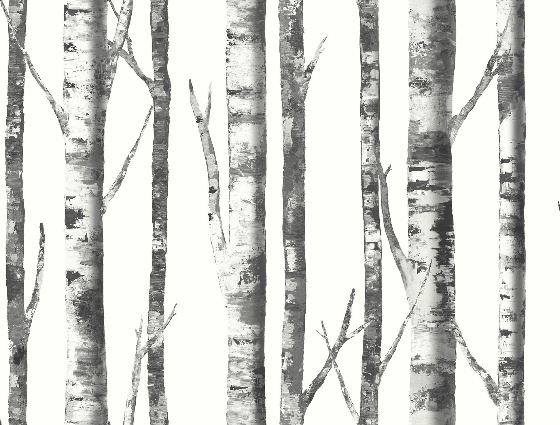 Birch Tree Wallpaper. Modern Nature. (White, Charcoal, Black)