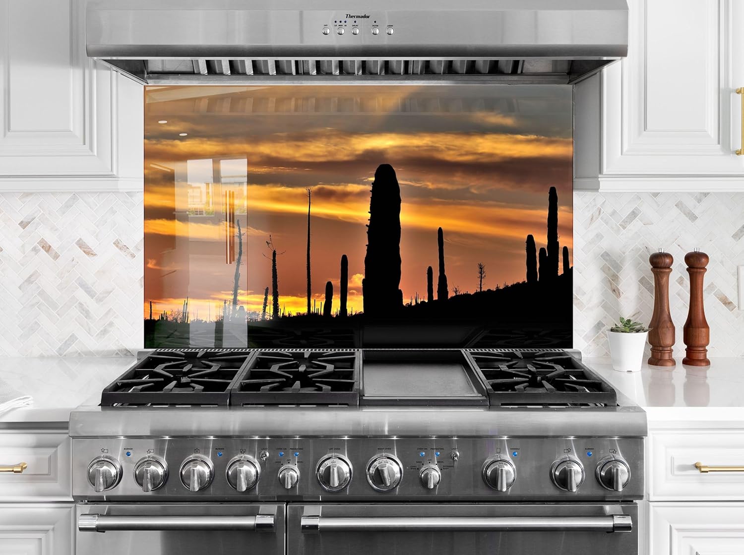 Myphotostation.com 12x12''Tempered Glass Cactus Arizona Backsplash Design Cooker Wall Backsplash Panel Glass Splashback for Stove Panel Design Arizona Desert Splashback