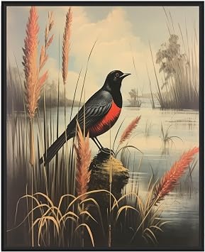 Red Winged Blackbird Art Print Poster, Bird Wall Art Vintage Print, Animal Brid Poster Decor Red Winged Blackbird, 16x20 inches + Black Frame