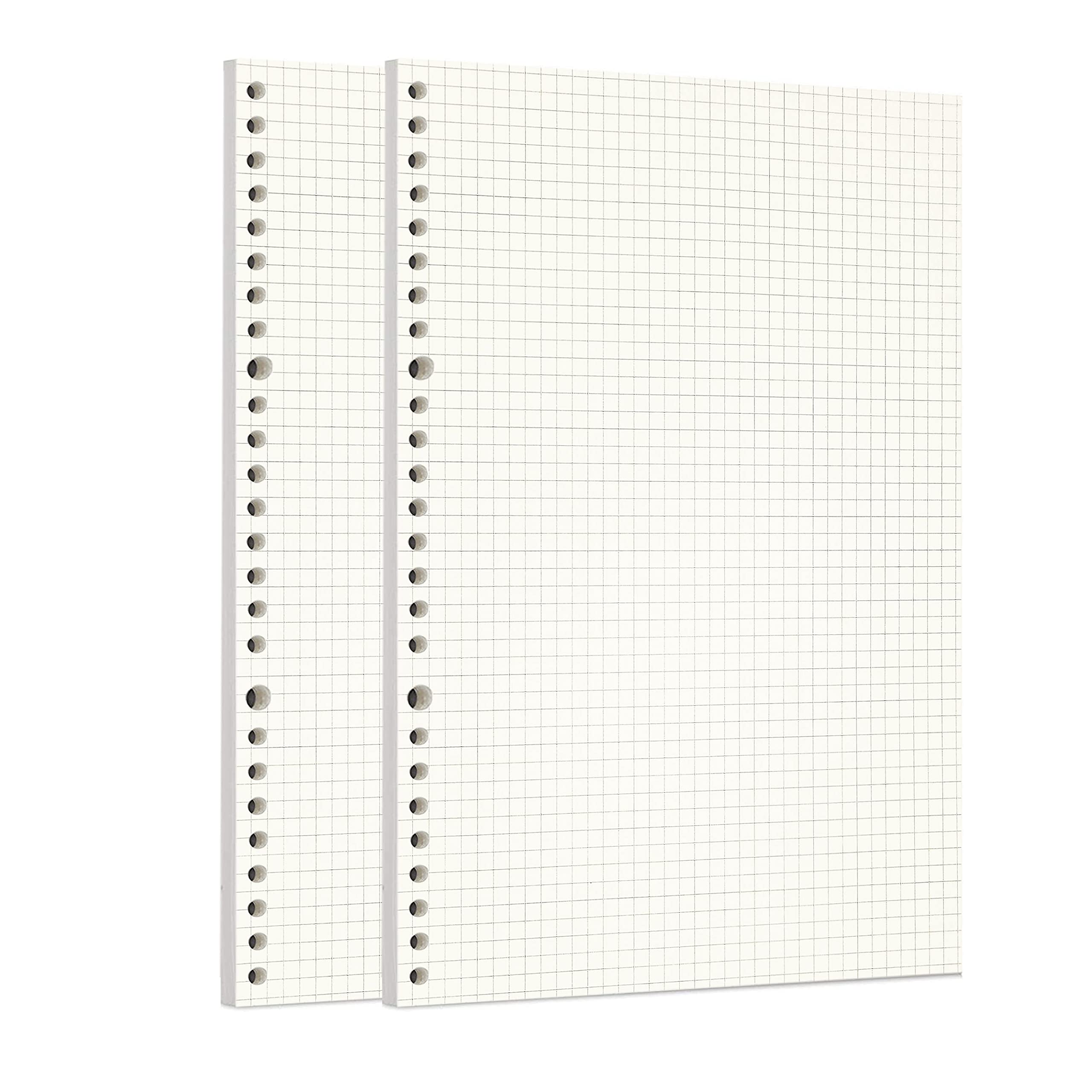 Zelten Loose Leaf Punched Paper Refills Paper for 6 Hole Binder Personal Organizer Diary Notebook Refillable Planner (Squared,B5/26 Hole)