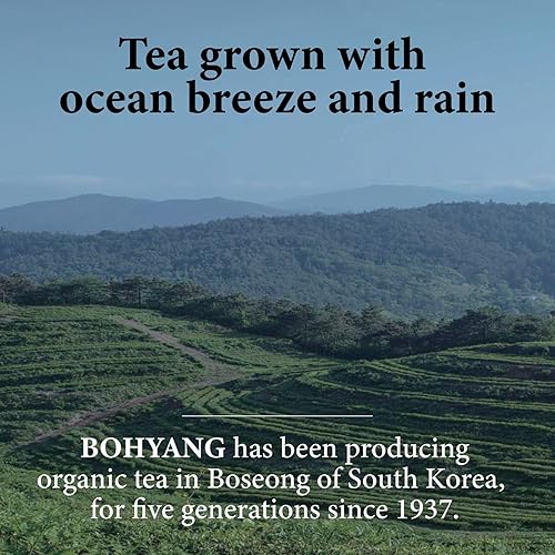 Miniatura 6 de BOHYANG 1937, mezcla orgánica con ingredientes naturales, hojas enteras seleccionadas a mano, sin plástico, 12 bolsas de té, 0.84 oz (24 g) (Hoji