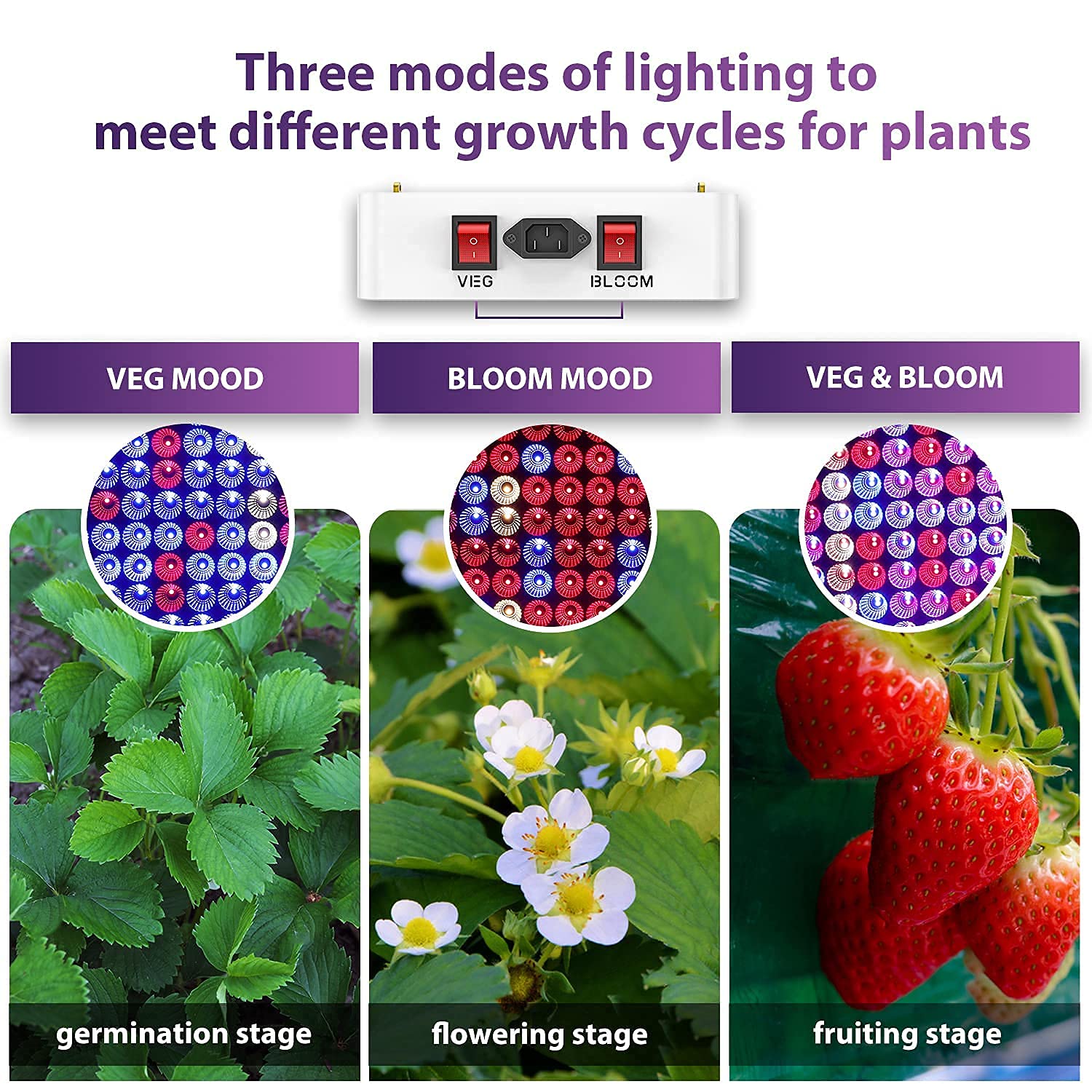 KingLED Newest 2000w LED Grow Lights with LM301B LEDs and 10x Optical
