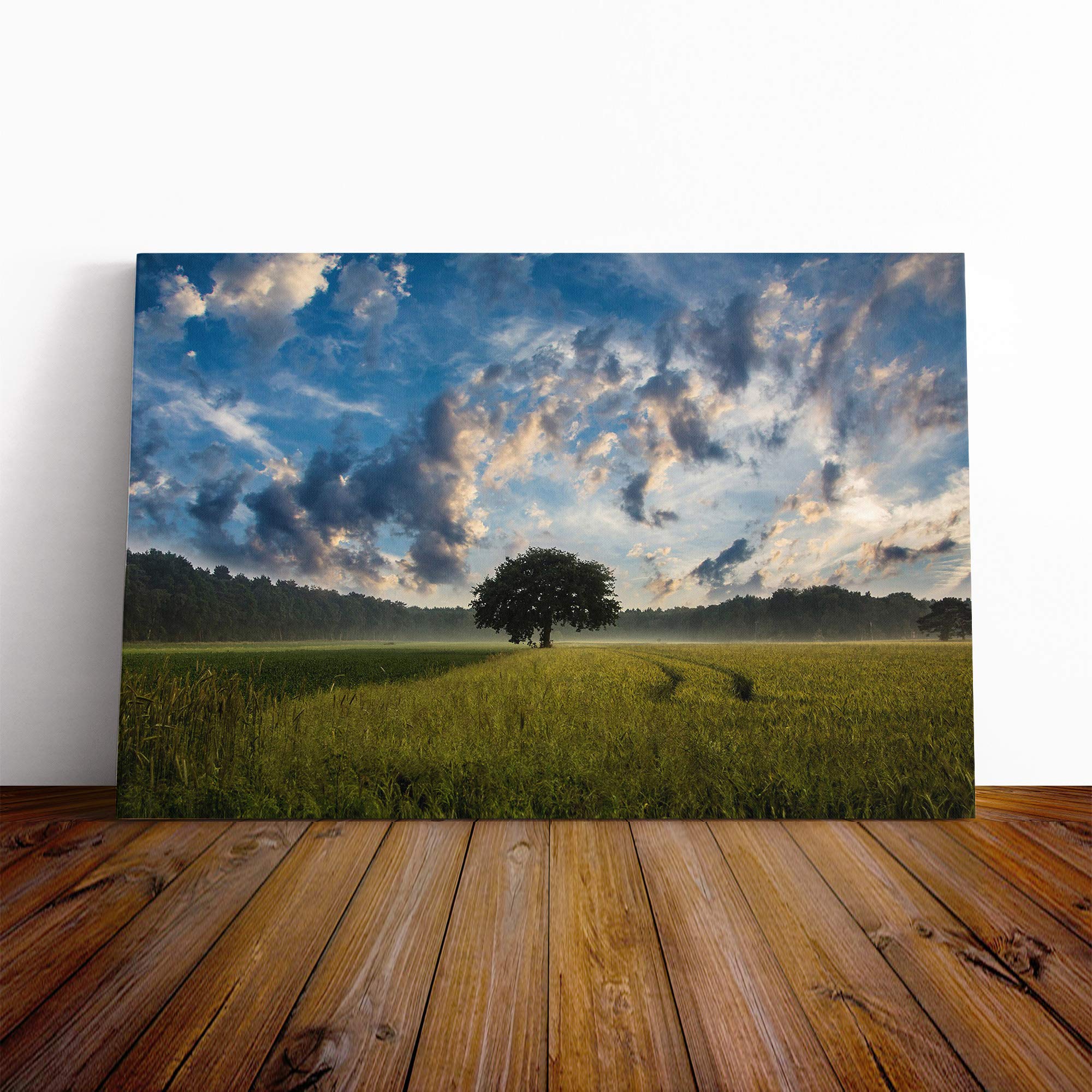 Landscape Lone Tree in a Cornfield Canvas Print | Gallery Wrapped 30mm Frame Wall Art | 20x14 inches | Ready to Hang | Modern Landscape Picture | Living Room Bedroom Lounge Office