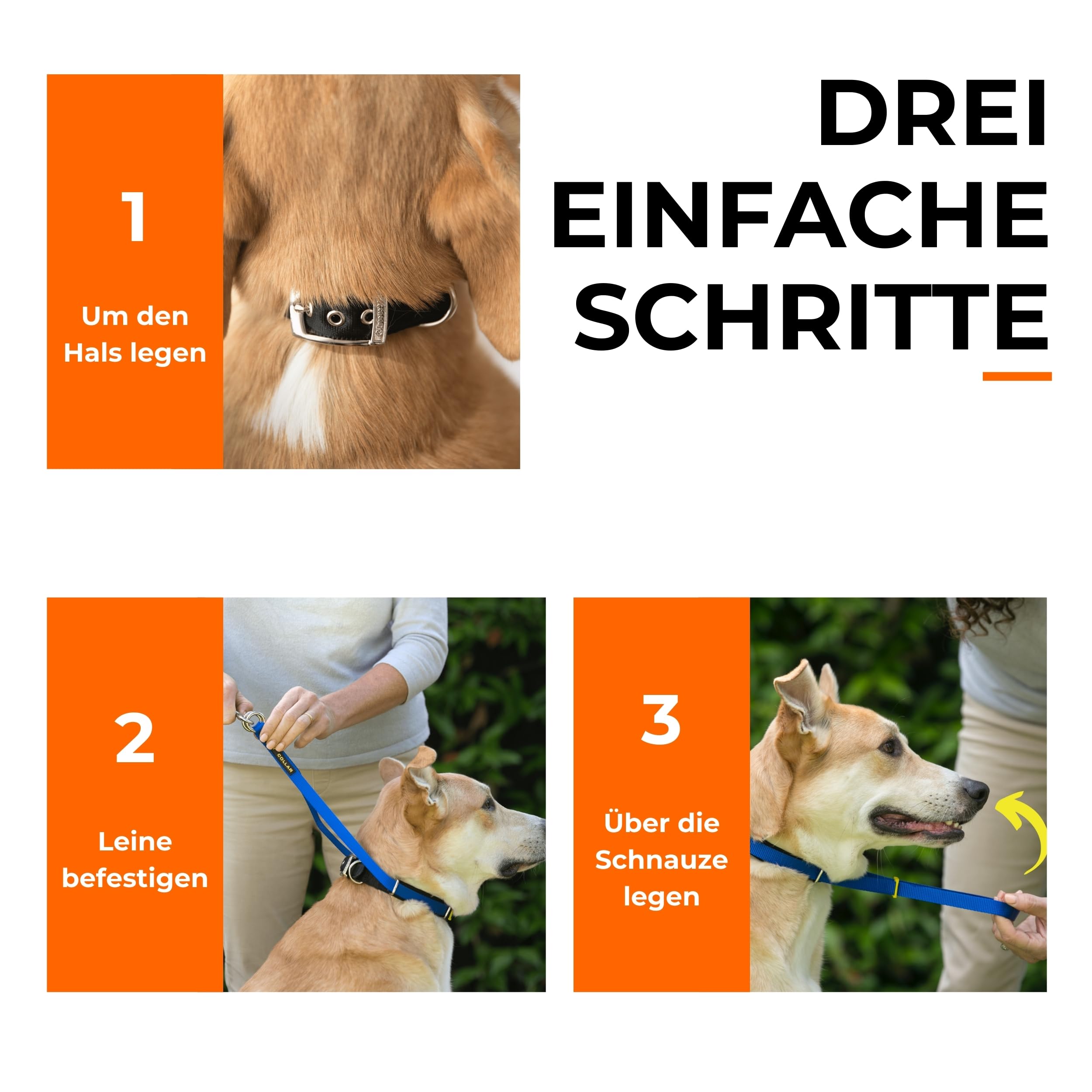 Canny Collar Hundehalsband | Für bessere Leinenführigkeit, lockeres Laufen an der Leine, mehr Kontrolle & entspannte Spaziergänge ohne harte Korrektur.