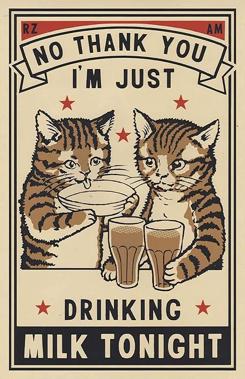 cat not drinking milk