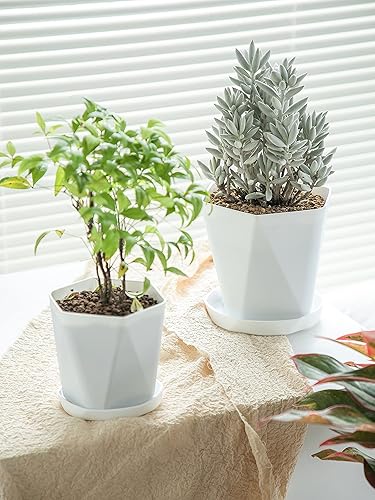 Miniatura 8 de Sun-E - Macetas para plantas de interior de 7.66.55.1 pulgadas, juego de 3 macetas para exteriores con agujeros de drenaje y platillos, idea de