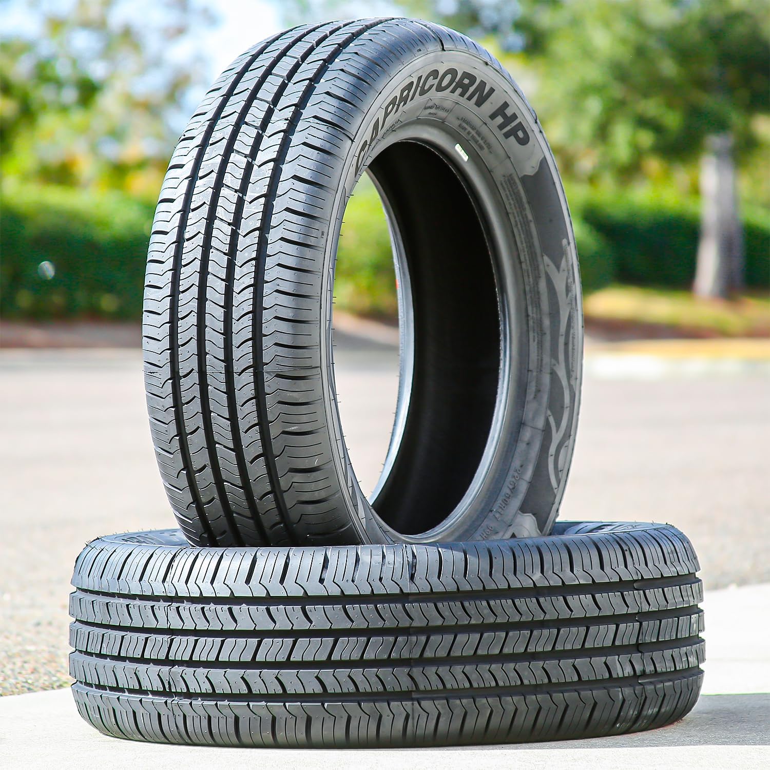 Set of 2 (TWO) Evoluxx Capricorn HP All-Season Passenger Car Performance Radial Tires-225/60R17 225/60/17 225/60-17 99H Load Range SL 4-Ply BSW Black Side Wall UTQG 700AA