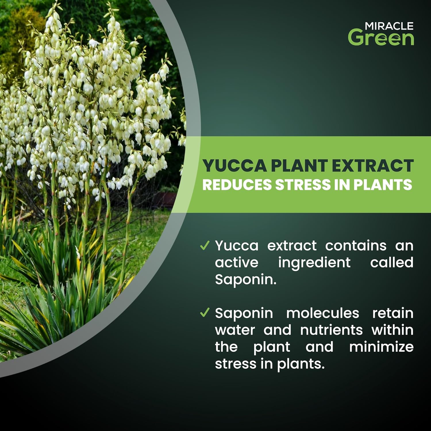 Miracle Green Fast-Acting Liquid Plant Food - Special Formula with Tree Sap & Yucca Plant Extract - All-Purpose Fertilizer for Houseplants, Flowers, Fruits, Vegetables & Trees (16 oz)