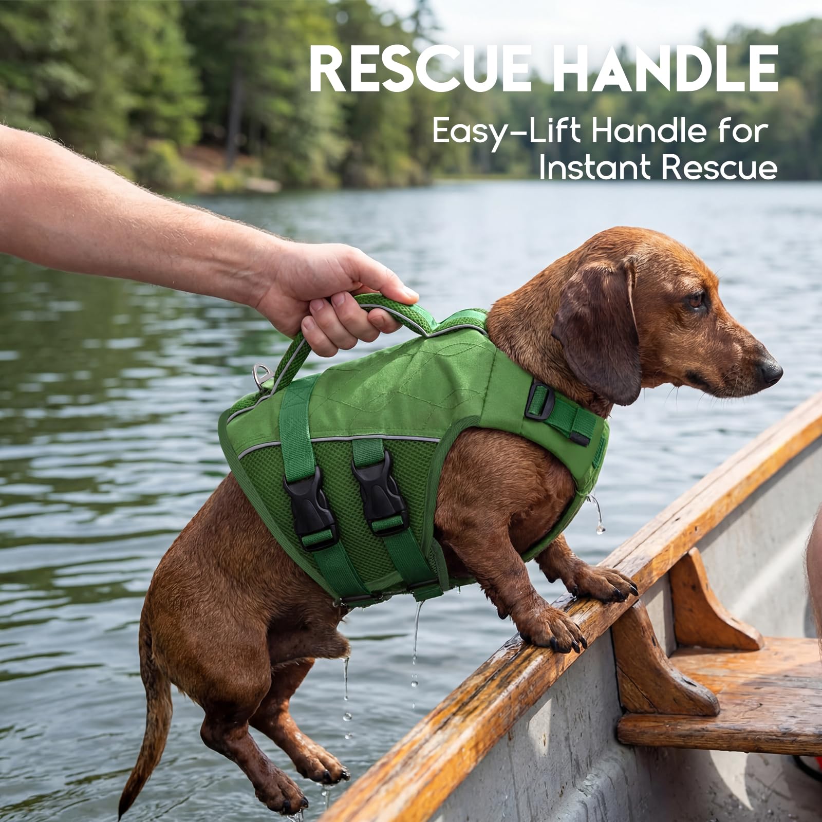 ASENKU Giubbotto Salvagente per Cani, Salvagente per Cane Piccoli, Medi e Grandi, Giubbotto con Maniglia di Salvataggio, Cinture Regolabili e Riflettenti,Ideale per Spiaggia, Piscina, Barca, Kayak XXL