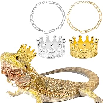 Amazon.co.jp: 8ピース トカゲの王冠ネックレスセット ひげを