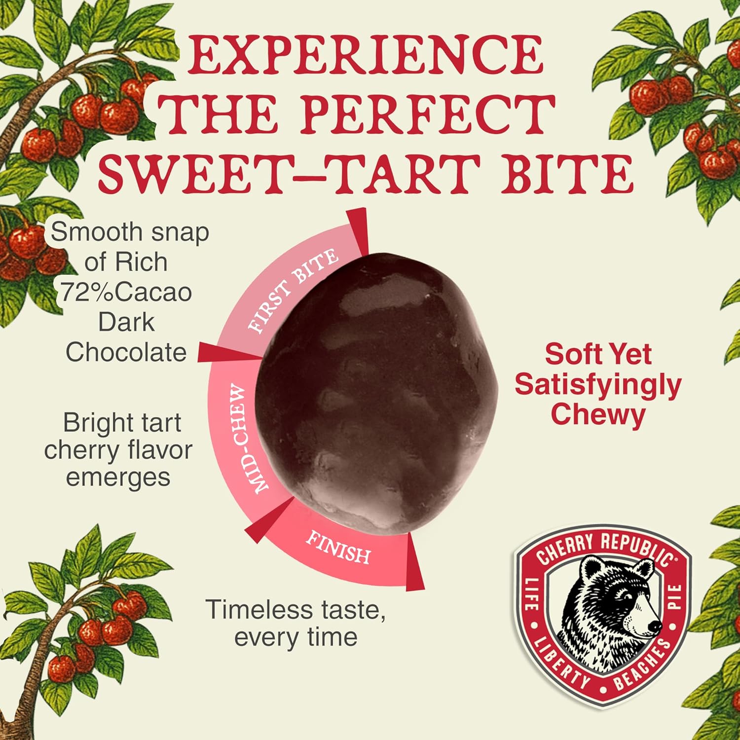 Cherry Republic Exceptionally Dark Chocolate Covered Cherries, 12 oz, Pack of 2 - Real Michigan Montmorency Tart Cherries with 72% Cacao, All-Natural, Sweet-Tart Cherry Candy Snack & Gift, Made in USA